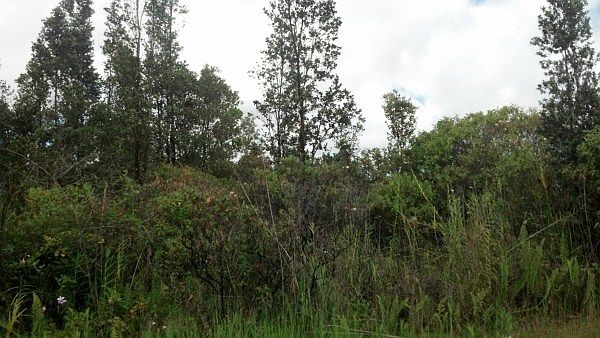 1st image of Plumeria St Lot 6480