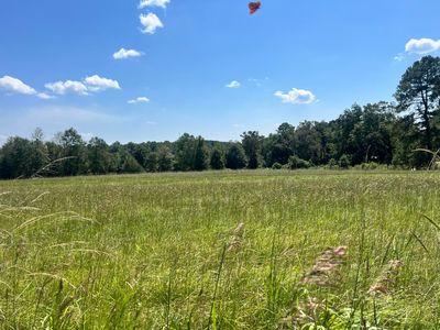 0 Hartfield Rd, Petal, MS, 39465