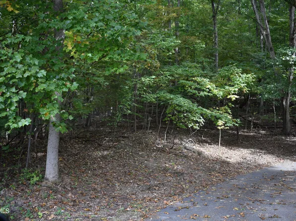 Tbd Echo Hills Dr, Rogersville, TN 37857