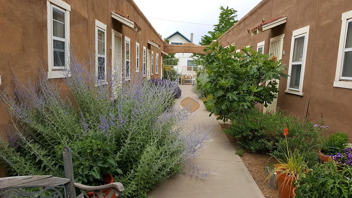 Interior courtyard with flowers, plants, herbs. - 323 11th St NW