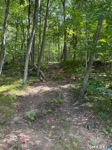 Tater Hill Road, East Haddam, CT, 06423