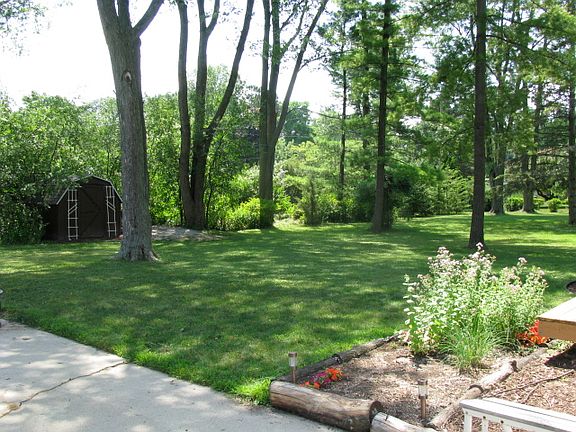 Back yard/ herb garden/ & shed