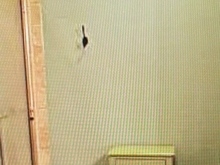 1329 Cedar Creek Dr — Photo 10