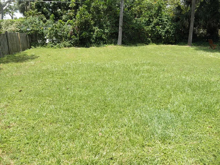 431 Virginia Dr — Photo 5