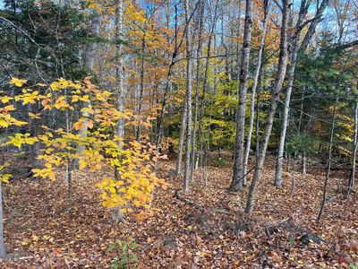 013-040 Hio Ridge Road, Denmark, ME, 04022