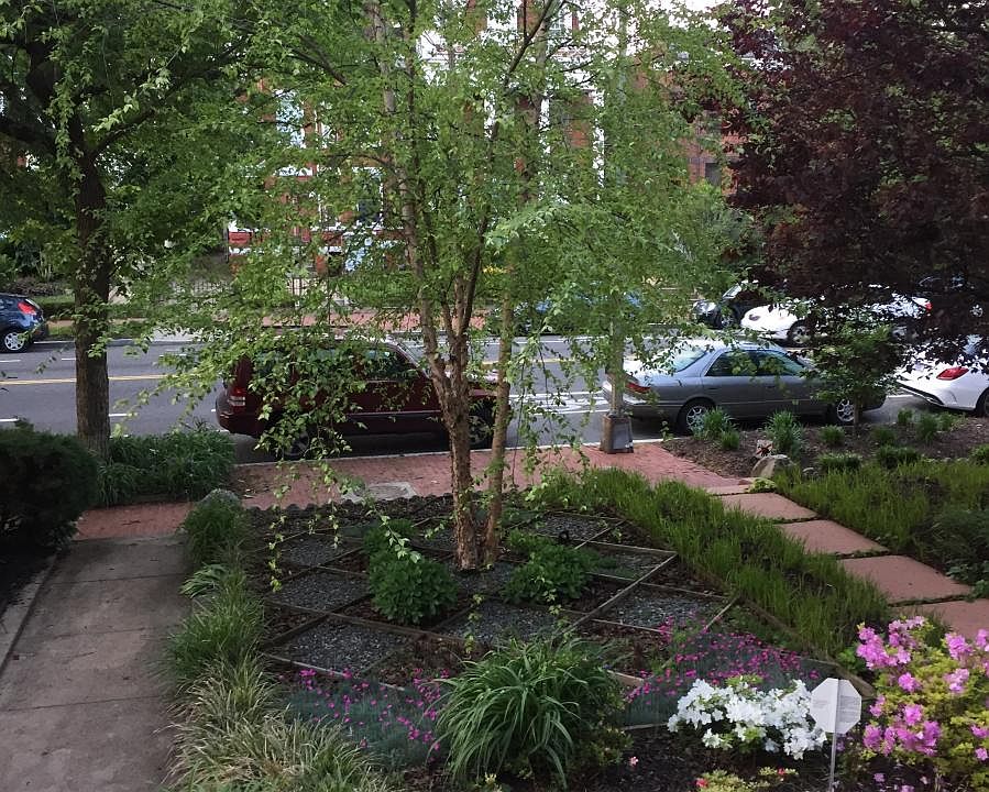 Front Garden