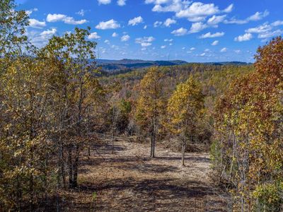 0 Blue Bird Rd LOT 19, Eminence, MO, 65466