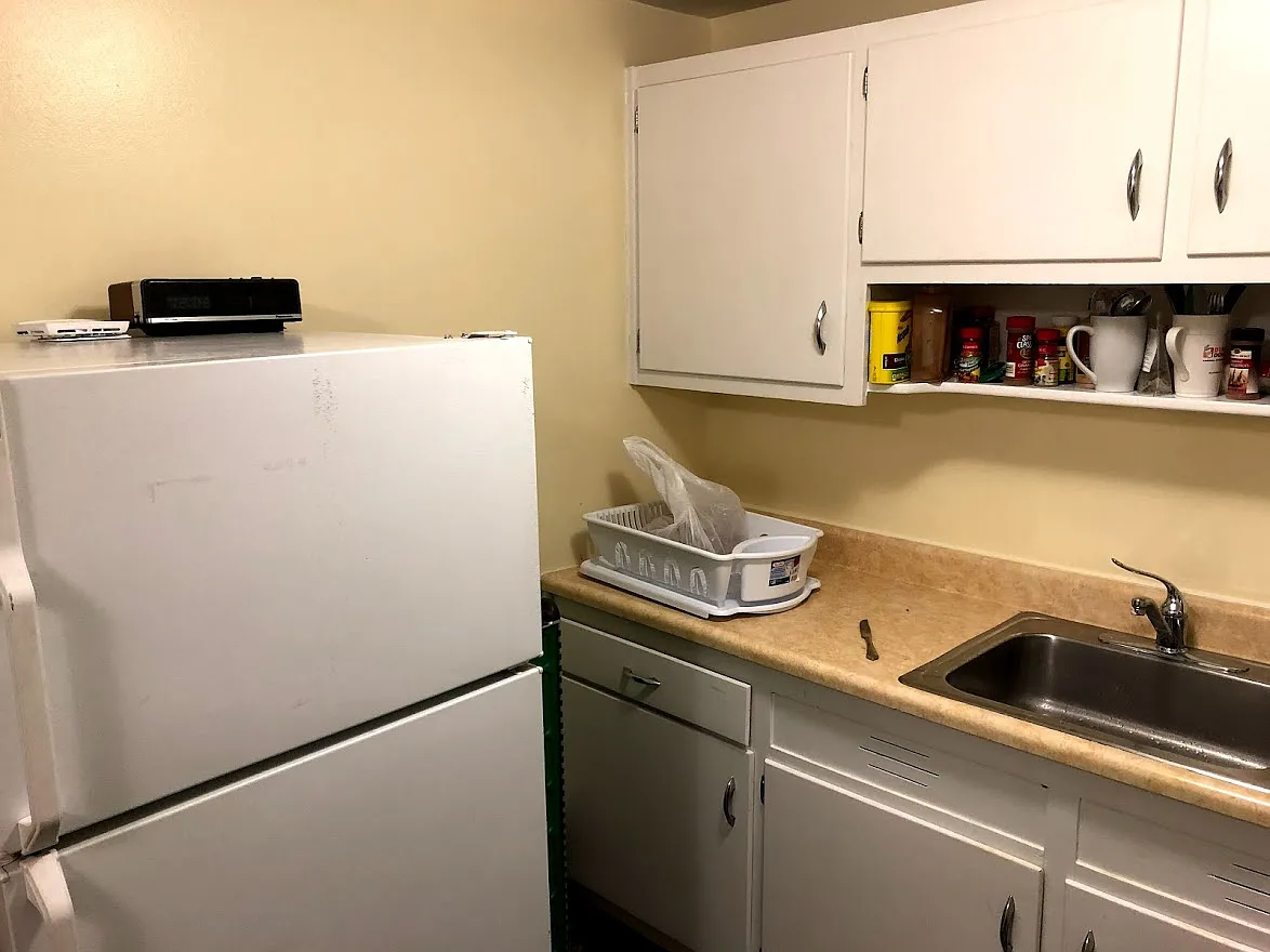 1 bed, 100 sqft, $1,295 — Photo 3