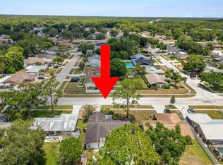 5028 Headland Hills Ave, Tampa, FL 33625
