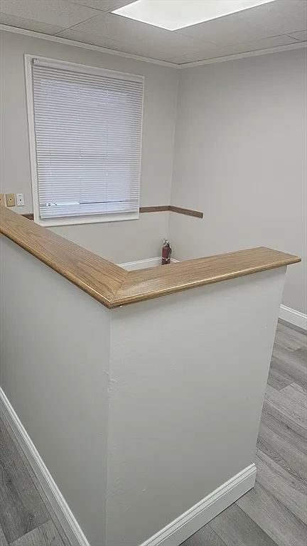 Studio, 1100 sqft, $1,900 — Photo 4