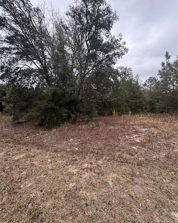 2nd image of 8583 N Bolder Dr