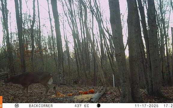 3rd image of Zion Rd