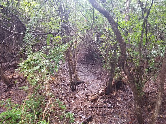 5th image of 17 County Road 2323