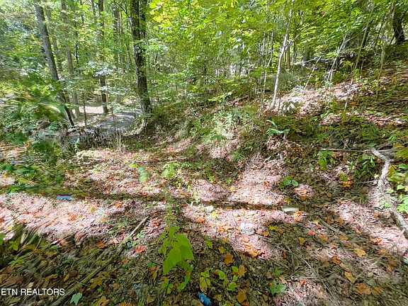 4th image of Bluff Mountain Rd