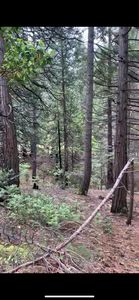 0 Four Wheel Dr, Pioneer, CA, 95666