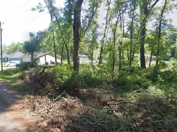 17 SEQUOIA LOOP TRACE LOT 18, OCKLAWAHA, FL 32179