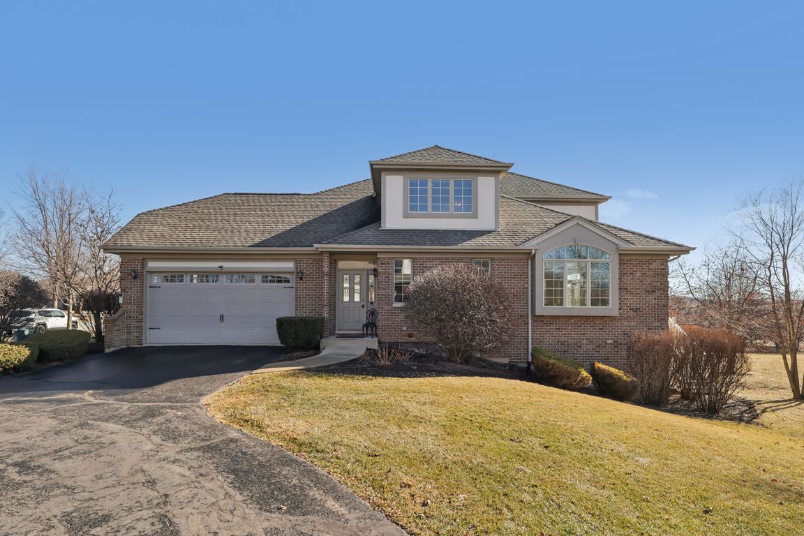 S Aster Ln-S1902-001.jpg