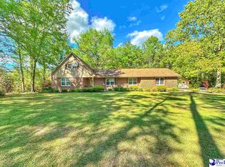 892 Highway 917 E, Latta, SC 29565