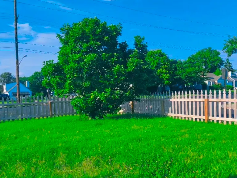 3001 Delaine Ave — Photo 4