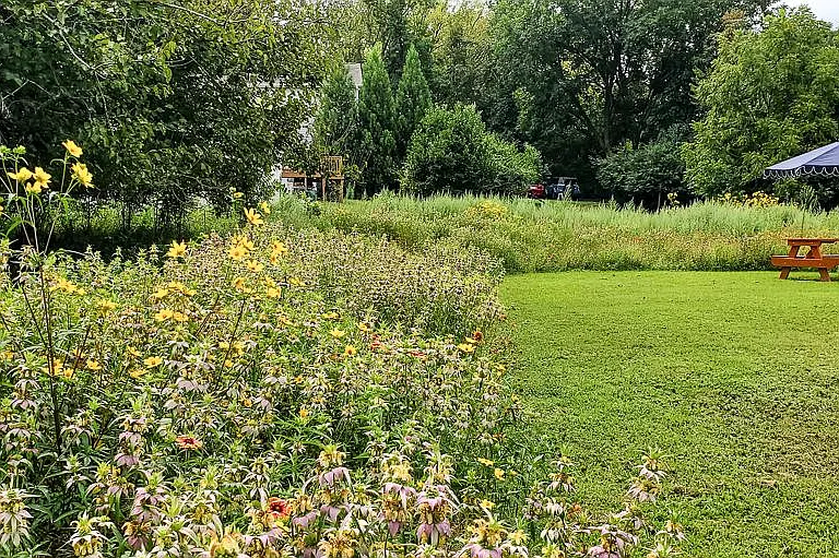 Native Meadow + custom 10-foot picnic table and umbrella