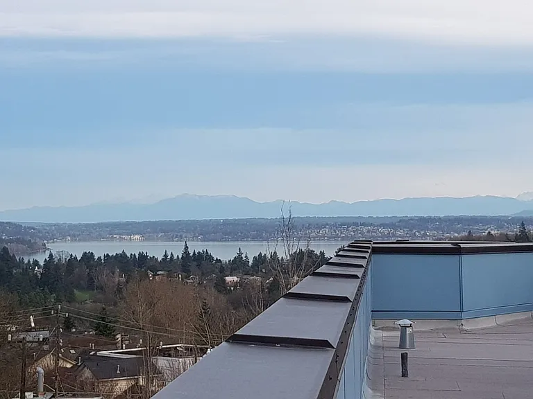Hamilton- Your Bright, Modern City Home! — Photo 53