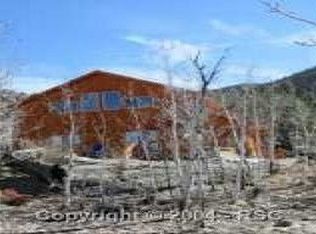 2163 County Road 333, Lake George, CO 80827