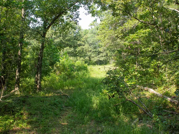 000 County Road 219, Thayer, MO 65791