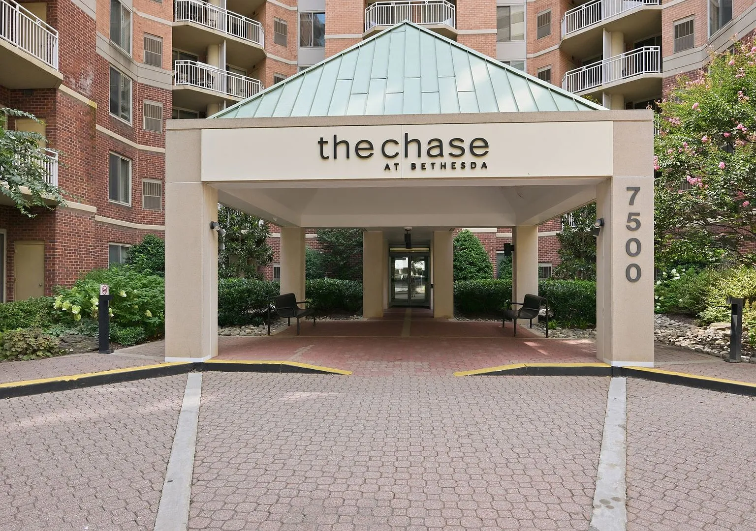 The Chase — Photo 1