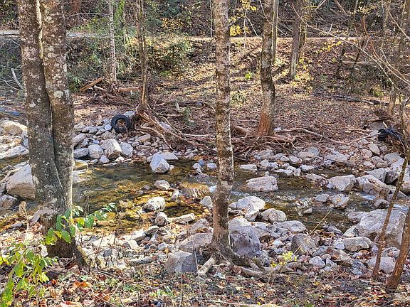 3rd image of Tbd Chestnut Mountain Rd