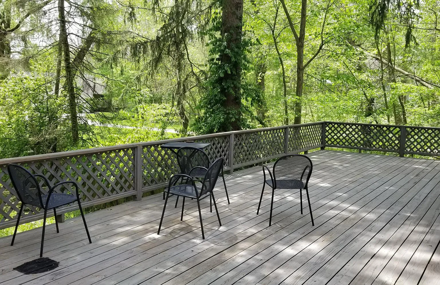 4 bed, 1746 sqft, $2,300 — Photo 4
