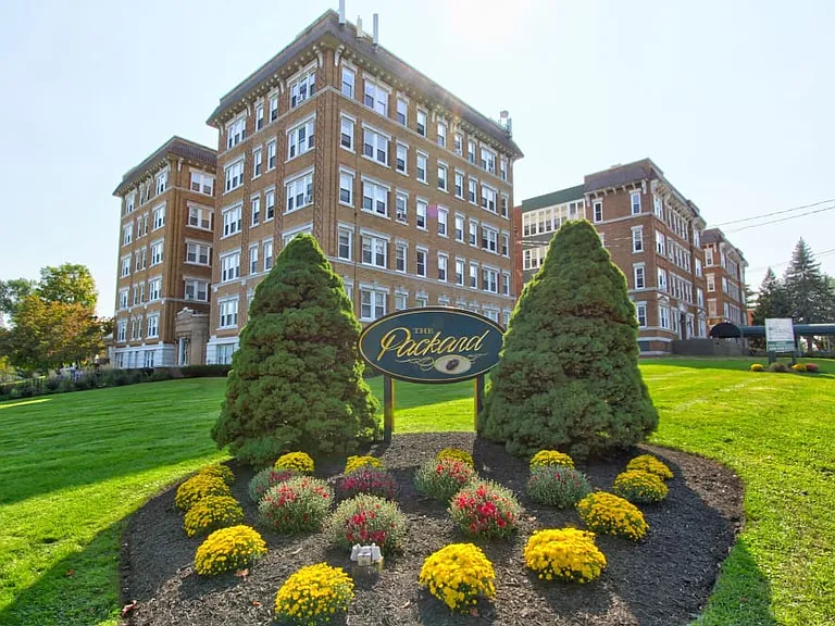 Packard West Hartford — Photo 5
