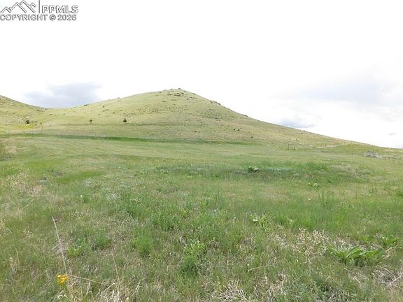2nd image of 11972 Haskel Creek Rd