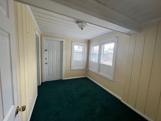 Bonus Room & Back Door