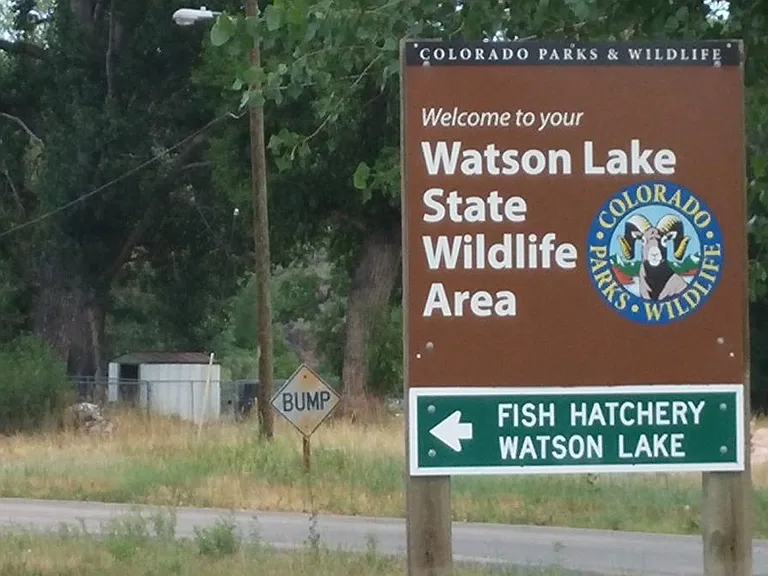 Walk to Watson Reservoir