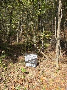 Morris Hollow Rd, Clifton forge, VA, 24422