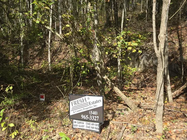 Morris Hollow Rd, Clifton Forge, VA 24422
