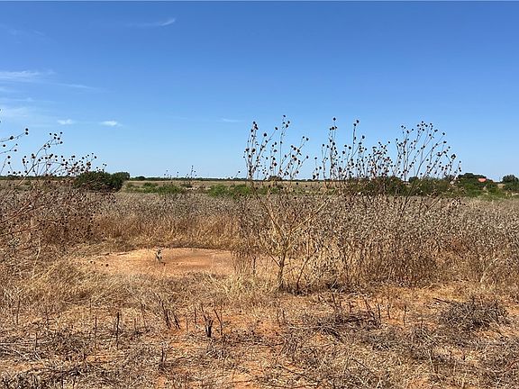 2nd image of 0 County Road 430