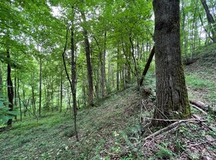 Rock House Rd, Hot Springs, NC 28743