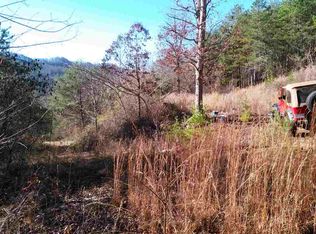 1334 Steve Brown Rd, Bean Station, TN 37708