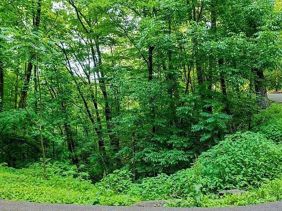 3rd image of LOT 10 Buena Vista Dr