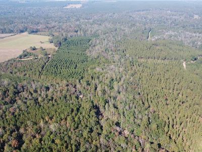 Hilltop Church Rd, Angie, LA, 70426