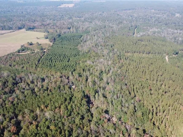 Hilltop Church Rd, Angie, LA 70426