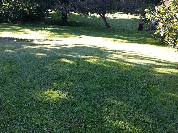 Great backyard