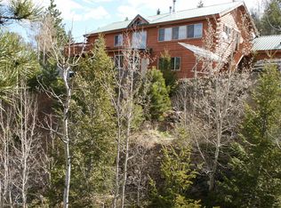 66 Big Meadow Dr, Idaho Springs, CO 80452