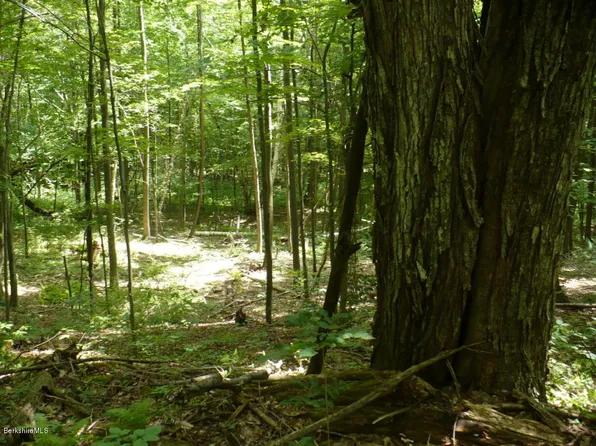 LOT 3 Old Orebed Rd, Lanesborough, MA 01237