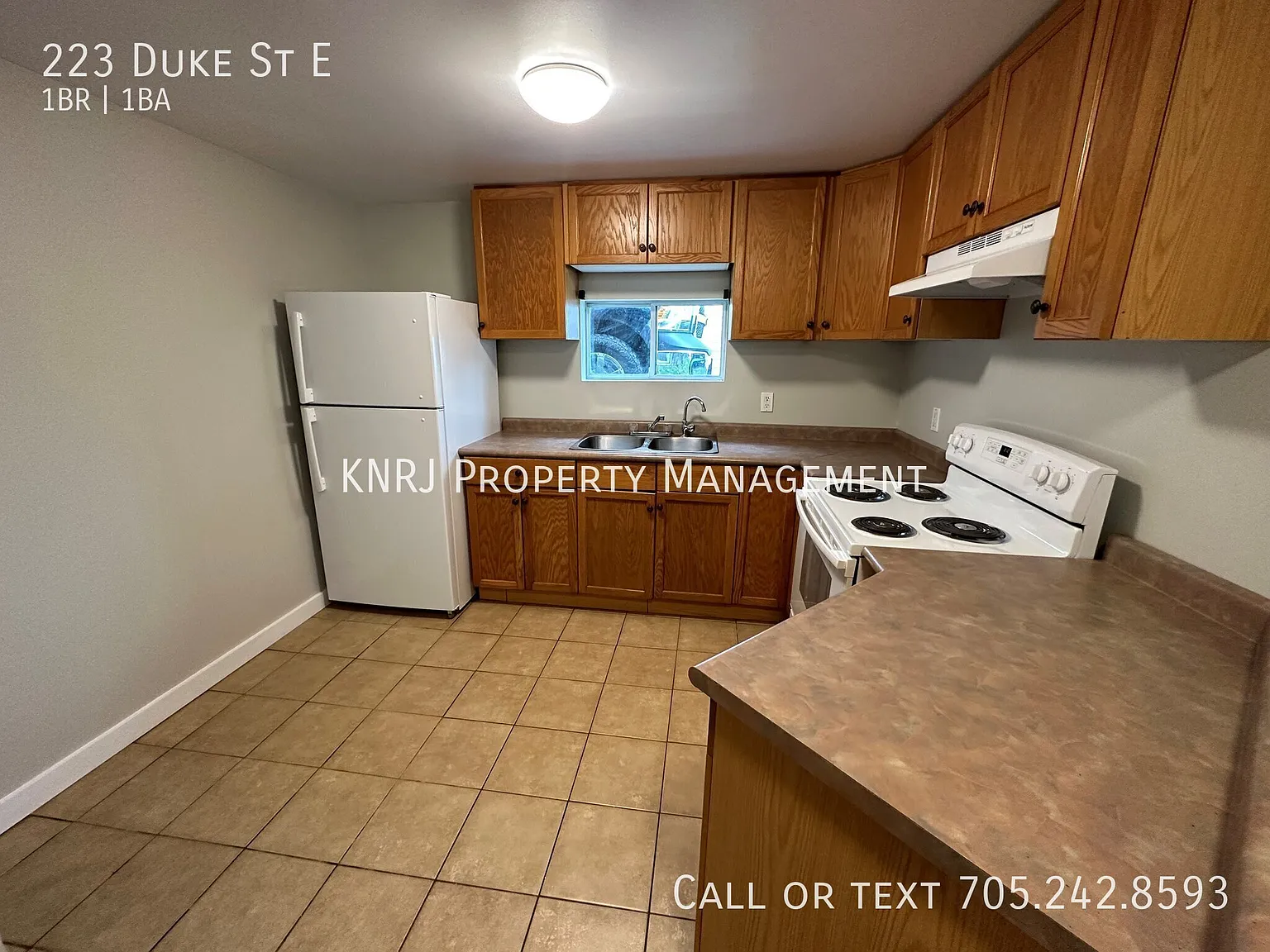 Spacious 1 Bedroom Basement Apartment — Photo 2