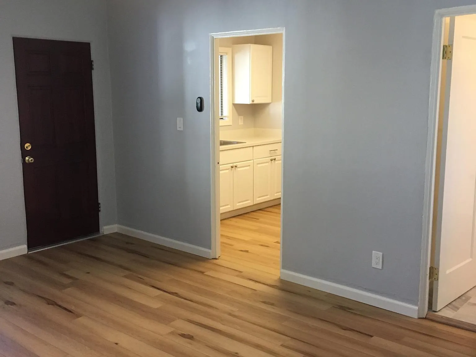 Studio, 385 sqft, $1,600 — Photo 3