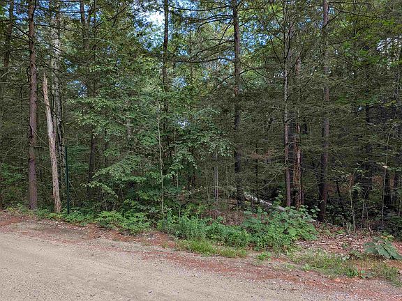 2nd image of D46 Sand Hill Road