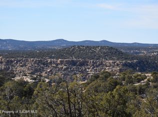723 Road 4600, Navajo Dam, NM 87419