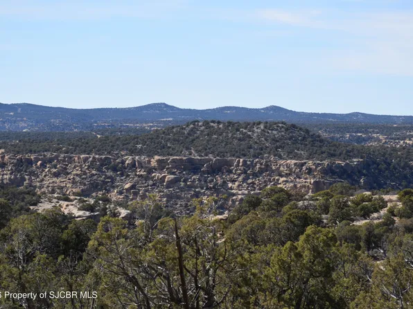 723 Road 4600, Navajo Dam, NM 87419